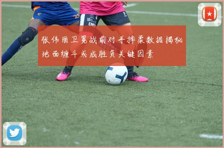 张伟丽卫冕战前对手摔柔数据揭秘地面缠斗或成胜负关键因素